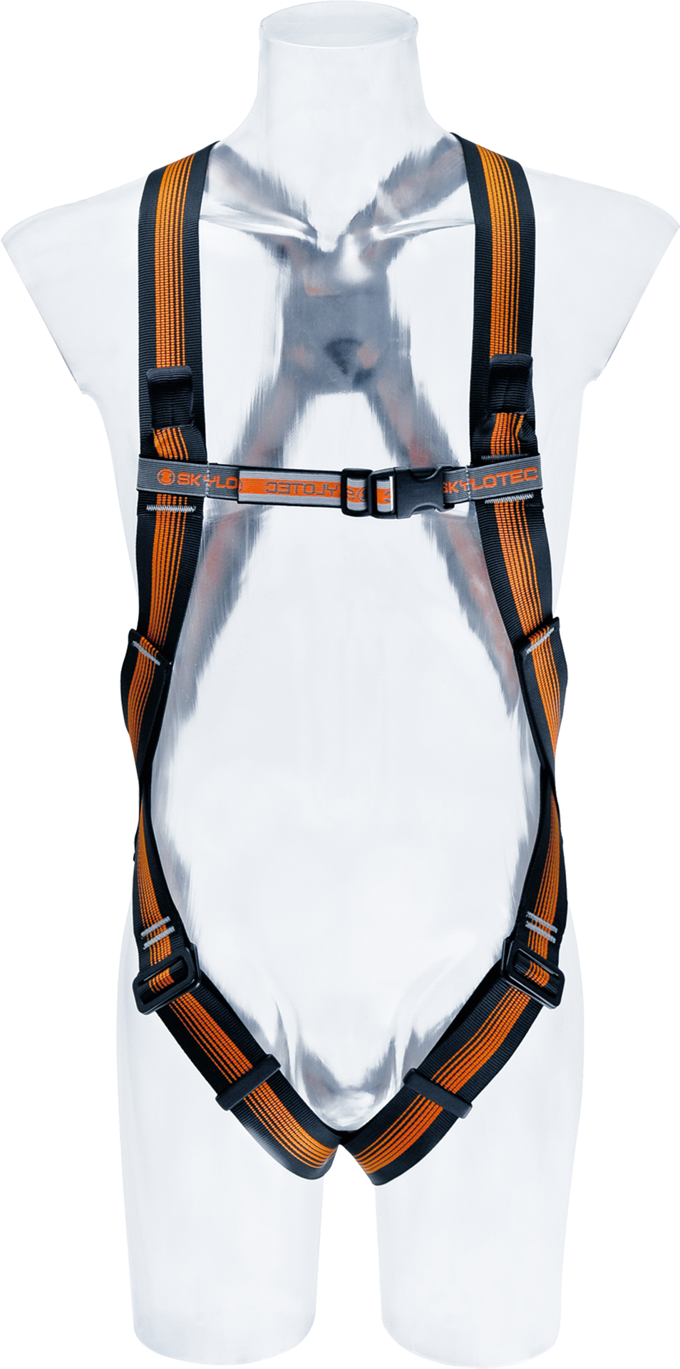 CS 2